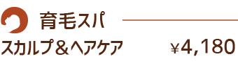 育毛スパ料金